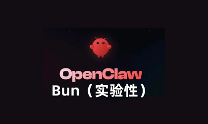 Bun（实验性）-LinClaw·灵爪