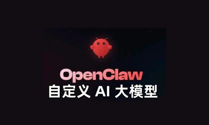 OpenClaw自定义 AI 大模型配置-LinClaw·灵爪
